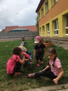 IMG_9944.jpg