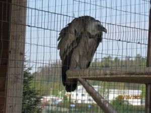 IMG_4336.jpg