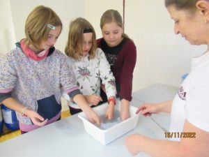 IMG_5419u.jpg